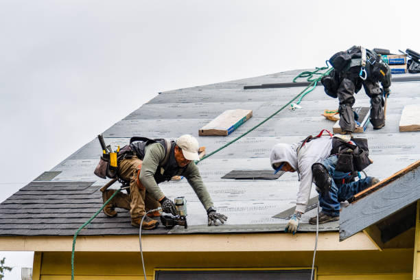 Professional Gutter Installation technician working in Johnson, NE